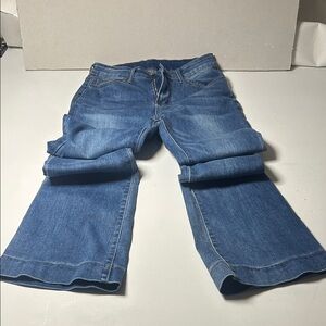 Stylish Blue Kunmi Flare Women's Jeans